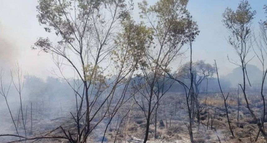 RADIOKTUBRE INFO..- Voraz incendio detrás de una cadena comercial-Por Simón Suarez..Ver mas