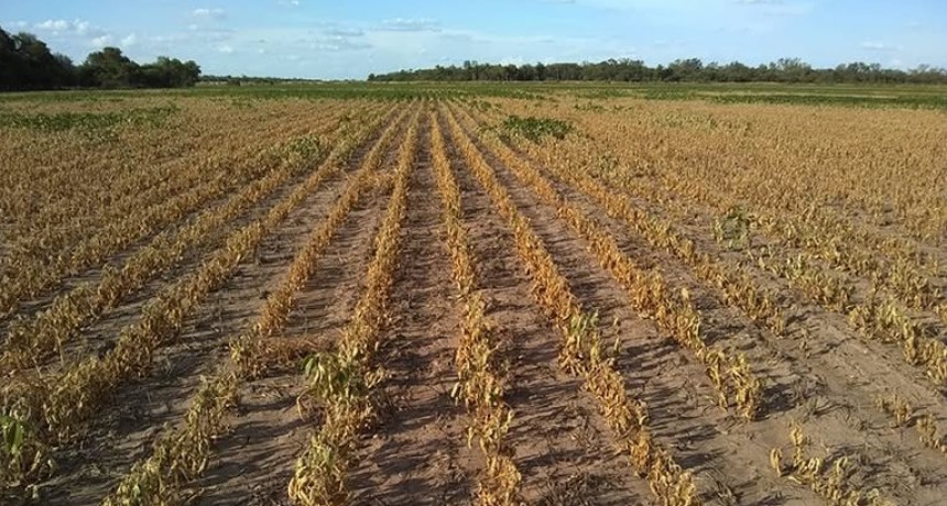 RADIOKTUBRE INFO……..  Piden clemencia: productores de Chaco y Formosa solicitan mantener los impuestos del 2023 frente a la sequía  …… Por Simòn Suarez