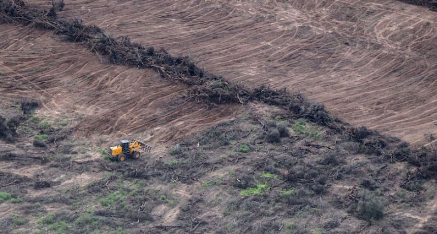 RADIOKTUBRE INFO…….. Greenpeace denuncia la pérdida de 150.000 hectáreas de bosques en el norte argentino   …… Por Simòn Suarez