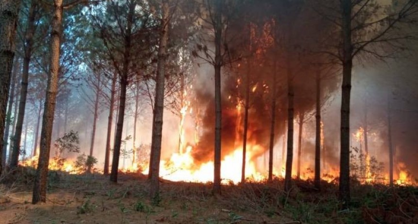 RADIOKTUBRE INFO..- Incendios en Corrientes: se habla de “pérdidas millonarias”-Por Simón Suarez..Ver mas