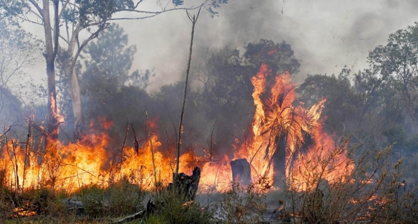RADIOKTUBRE INFO..- Cinco focos de incendios permanecen activos en territorio correntino  -Por Simón Suarez..Ver mas..	