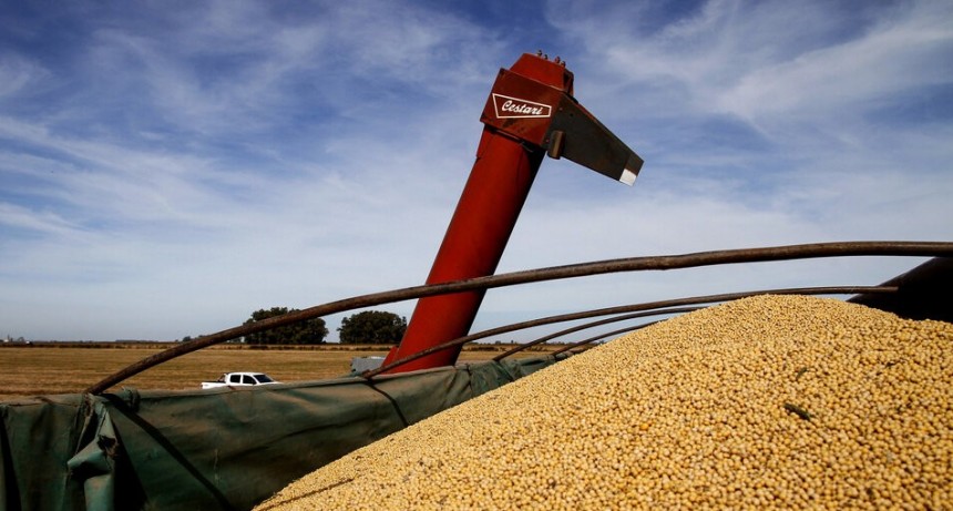 RADIOKTUBRE INFO…. Millonaria maniobra de las grandes cerealeras  …Por Simón Suarez   Ver mas….