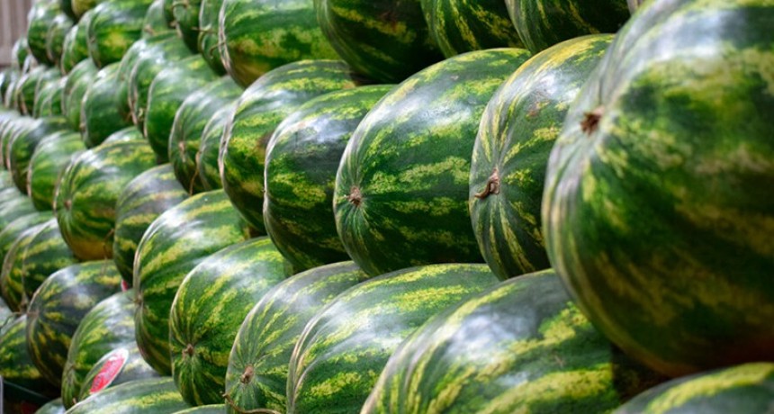 RADIOKTUBRE INFO…….. EL MESI CHAQUEÑO DE LA SANDIA   …… Por Simòn Suarez