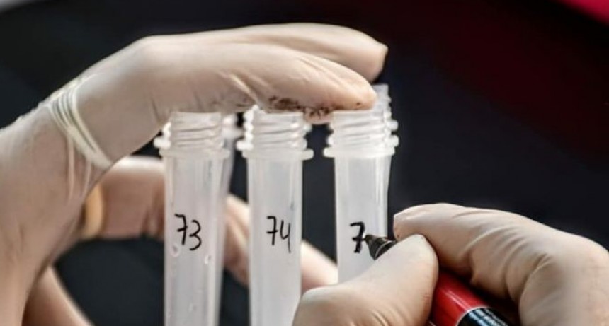 RADIOKTUBRE INFO..- Coronavirus: confirmaron dos muertes y 84 nuevos casos en el Chaco  -Por Simón Suarez..Ver mas..