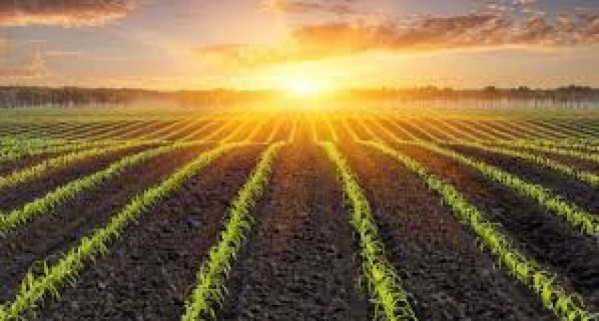 RADIOKTUBRE INFO..-  EL CLIMA HOY EN SANTA SYLVINA CHACO -Por Simón Suarez..Ver mas..	