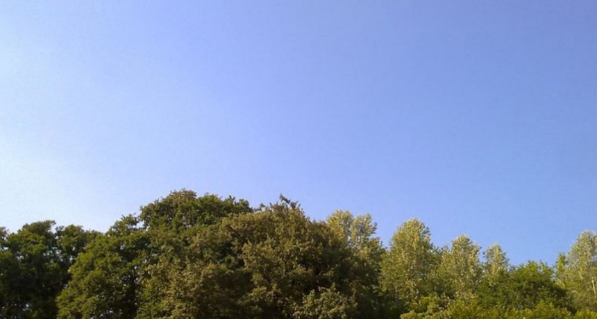 RADIOKTUBRE INFO….   EL CLIMA HOY EN SANTA SYLVINA CHACO....Por Simón Suarez   Ver mas….