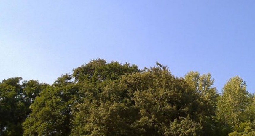 RADIOKTUBRE INFO….   EL CLIMA HOY EN SANTA SYLVINA CHACO....Por Simón Suarez   Ver mas….