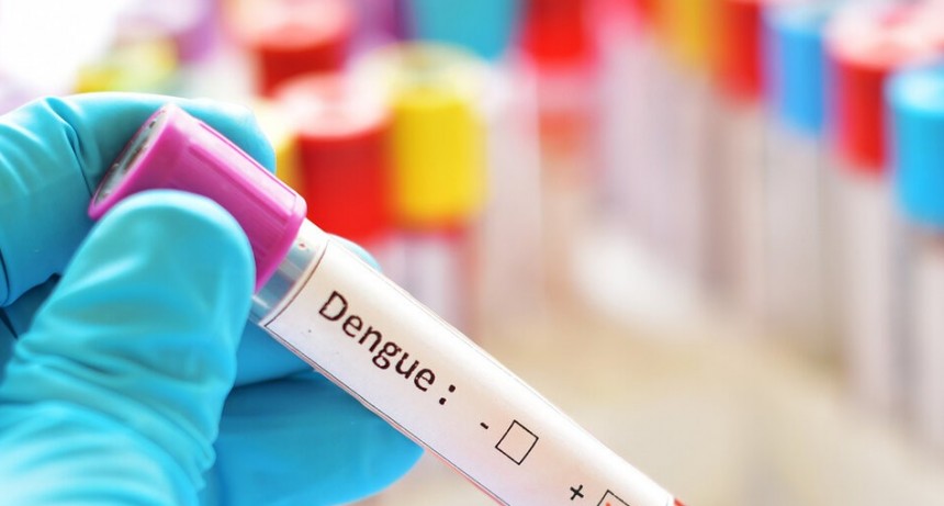RADIOKTUBRE INFO…. Dengue: la curva crece y ya preocupa a las autoridades sanitarias  …Por Simón Suarez   Ver mas….