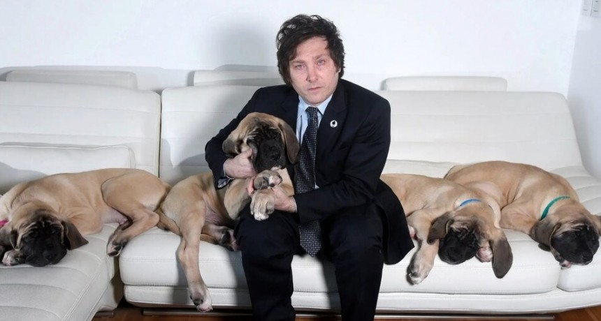 RADIOKTUBRE INFO….  MILEI, LOS PERROS Y AU DECLARACIÓN DE BIENES  ….Por Simòn Suàrez