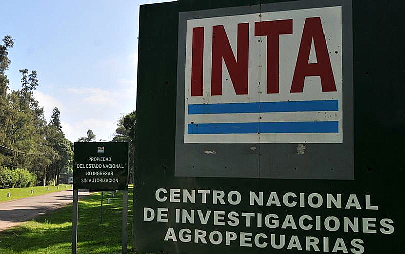 - RADIOKTUBRE INFO…….. INTA: aprobó plan de retiros voluntarios y Milei podrá avanzar con el despido del 26% de la planta del organismo …… Por Simòn Suarez.