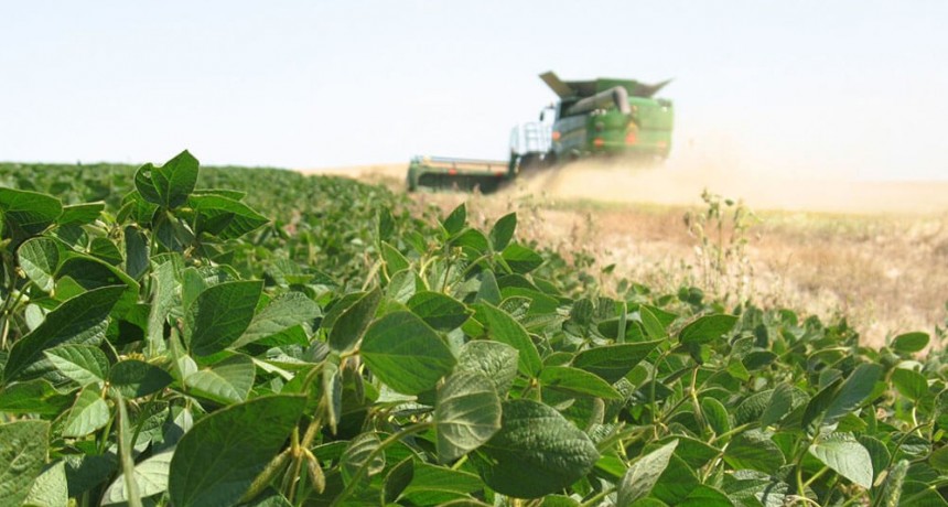 RADIOKTUBRE INFO..Para el campo, ganancias record en pandemia..Por Simón Suárez...Ver mas...