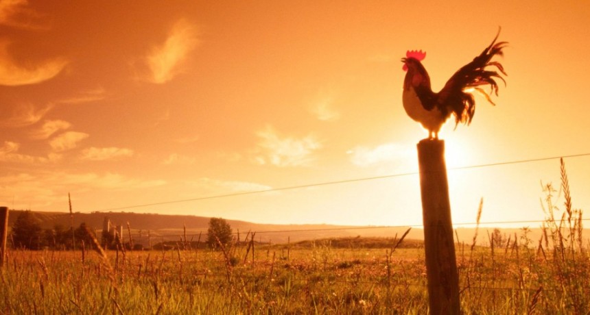 RADIOKTUBRE INFO… EL CLIMA PARA HOY EN SANTA SYLVINA -Por Simón Suárez-Ver mas…