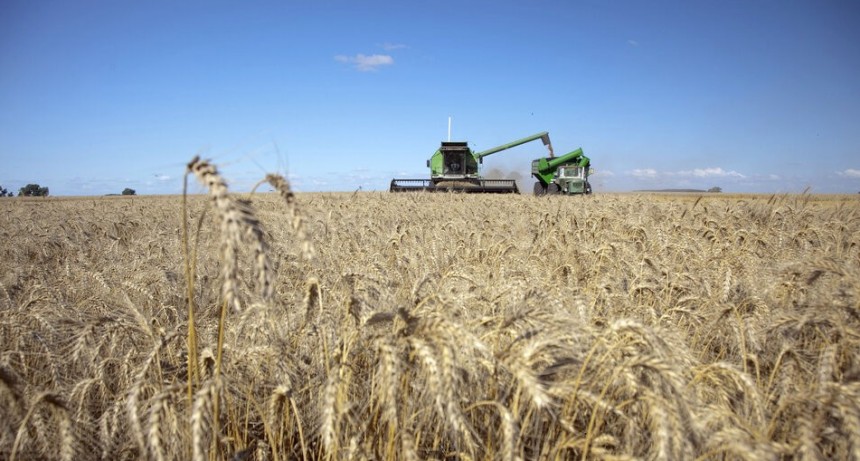 RADIOKTUBRE INFO..- El campo se queja y gana millones  -Por Simón Suarez..Ver mas..	
