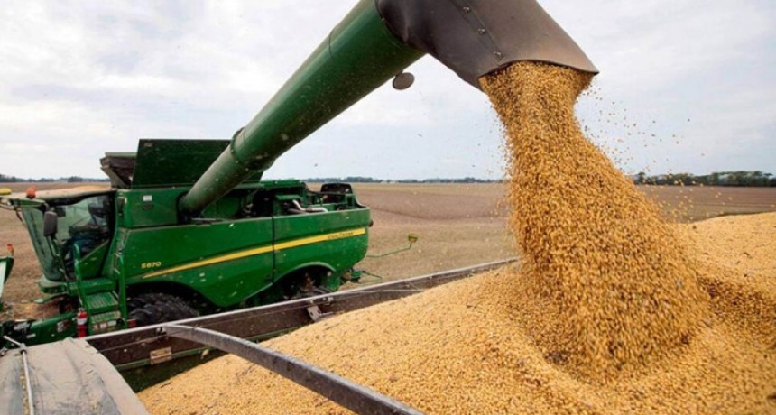 RADIOKTUBRE INFO..-  Aduana informó que desmanteló 60 agroexportadores 