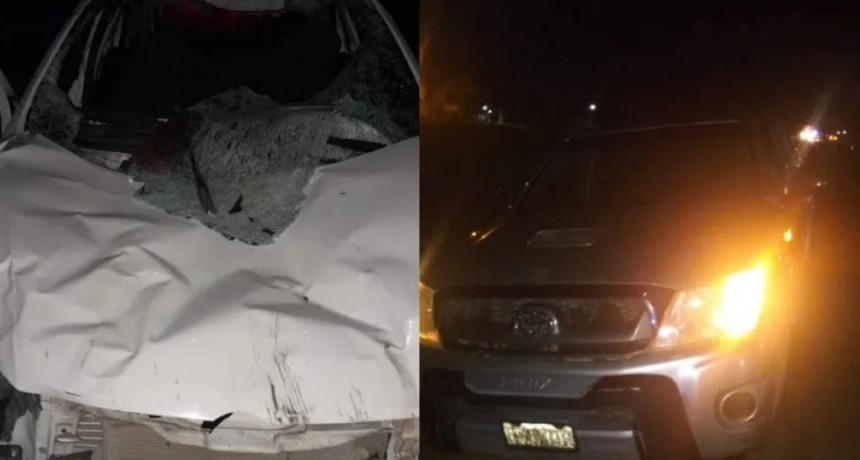 RADIOKTUBRE INFO….  Animales sueltos: dos choques y heridos de gravedad por un caballo en la ruta 16 …Por Simón Suarez   Ver mas….