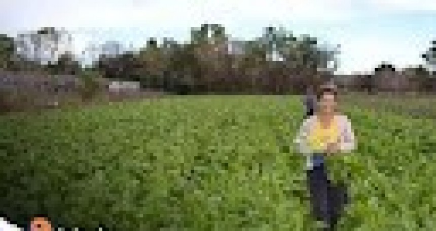 RADIOKTUBRE INFO….EL OTRO CAMPO:  Agricultura familiar: produce el 60% de los alimentos aunque sin propiedad de las tierras  …Por Simón Suarez   Ver mas….