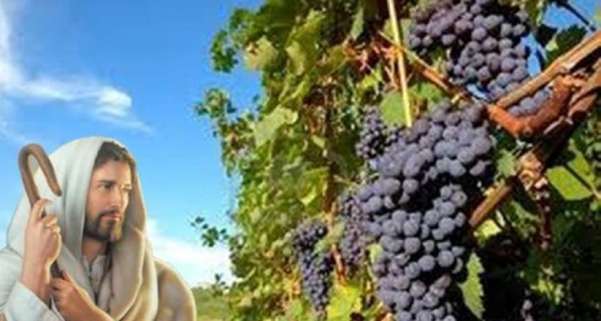 RADIOKTUBRE INFO….EL EVANGELIO DE HOY MIÉRCOLES 10 DE MAYO DEL 2023   …Por Simón Suarez..Ver mas..