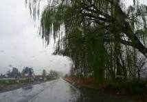 RADIOKTUBRE INFO…….. EL CLIMA HOY EN SANTA SYLVINA CHACO   …… Por Simòn Suarez