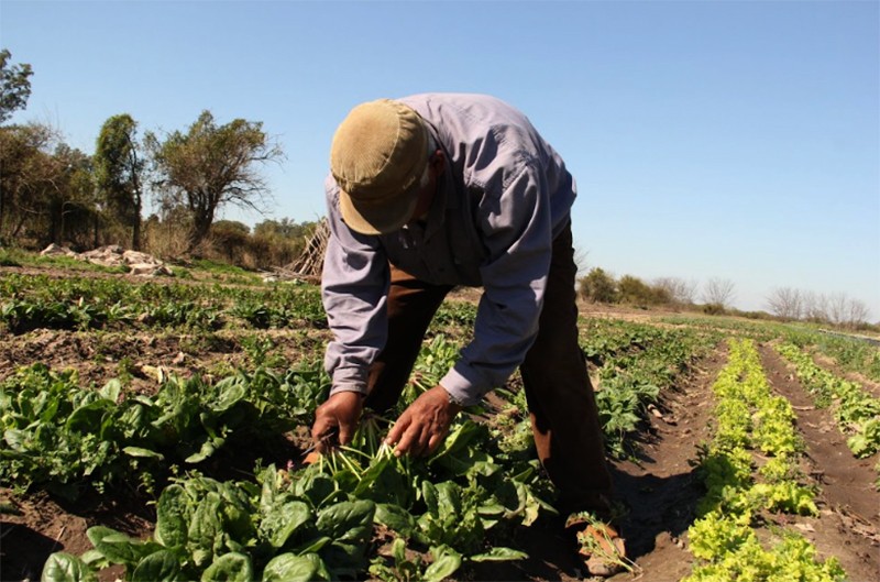 RADIOKTUBRE INFO……..  Crisis salarial: en el agro, el servicio doméstico y la construcción, más de la mitad de los trabajadores son pobres  …… Por Simòn Suarez