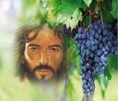RADIOKTUBRE INFO…EL EVANGELIO DE HOY MIÉRCOLES 21/5/2025