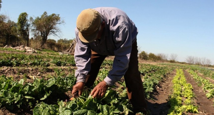 RADIOKTUBRE INFO……..  Crisis salarial: en el agro, el servicio doméstico y la construcción, más de la mitad de los trabajadores son pobres  …… Por Simòn Suarez