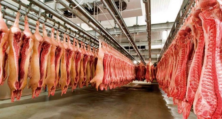 RADIOKTUBRE INFO…- El Ministerio de Agricultura suspendió la operación de 12 empresas exportadoras de carne-Por Simón Suarez..Ver mas…