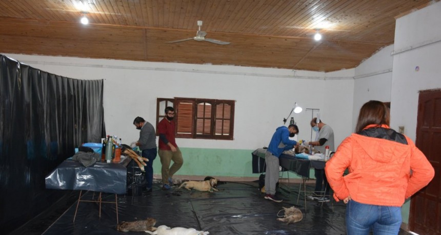 RADIOKTUBRE INFO…CAMPAÑA DE CASTRACION  GRATUITA EN SANTA SYLVINA- Por Simón Suárez ..Ver  mas..