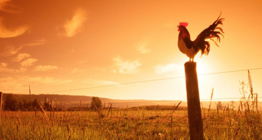 RADIOKTUBRE INFO…EL CLIMA PARA HOY EN SANTA SYLVINA-CHACO-..Por Simón Suárez ..Ver  mas..
