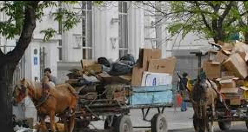 RADIOKTUBRE INFO..-   Resistencia, en camino a dejar el uso de animales para transporte y carga-Por Simón Suarez..Ver mas..