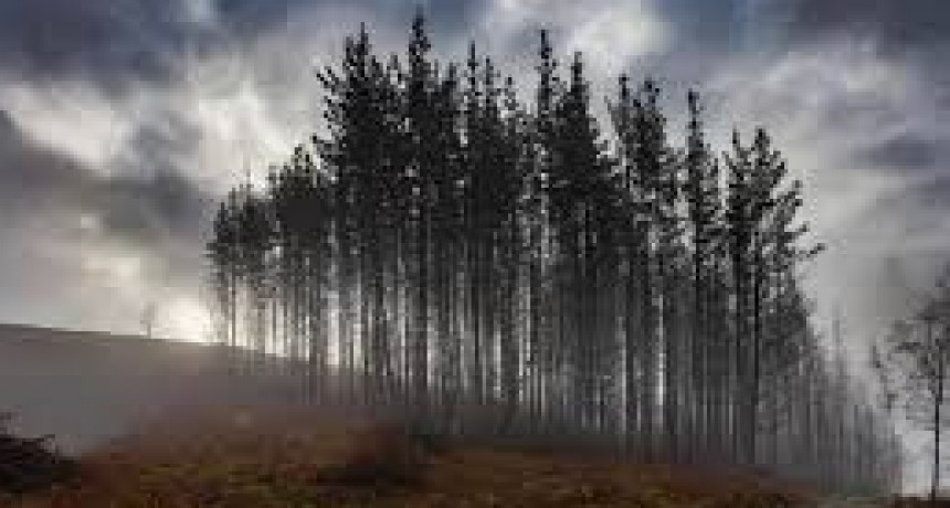 RADIOKTUBRE INFO..-  EL CLIMA HOY EN SANTA SYLVINA CHACO -Por Simón Suarez..Ver mas..