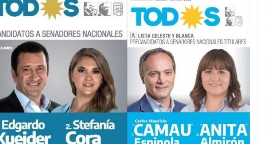 DIARIOKTUBRE INFO….CRISTINA KIRCHNER APUNTÓ CONTRA LOS DOS SENADORES DE UNION POR LA PATRIA QUE VOTARON LA LEY BASES    ….Por Simòn Suàrez