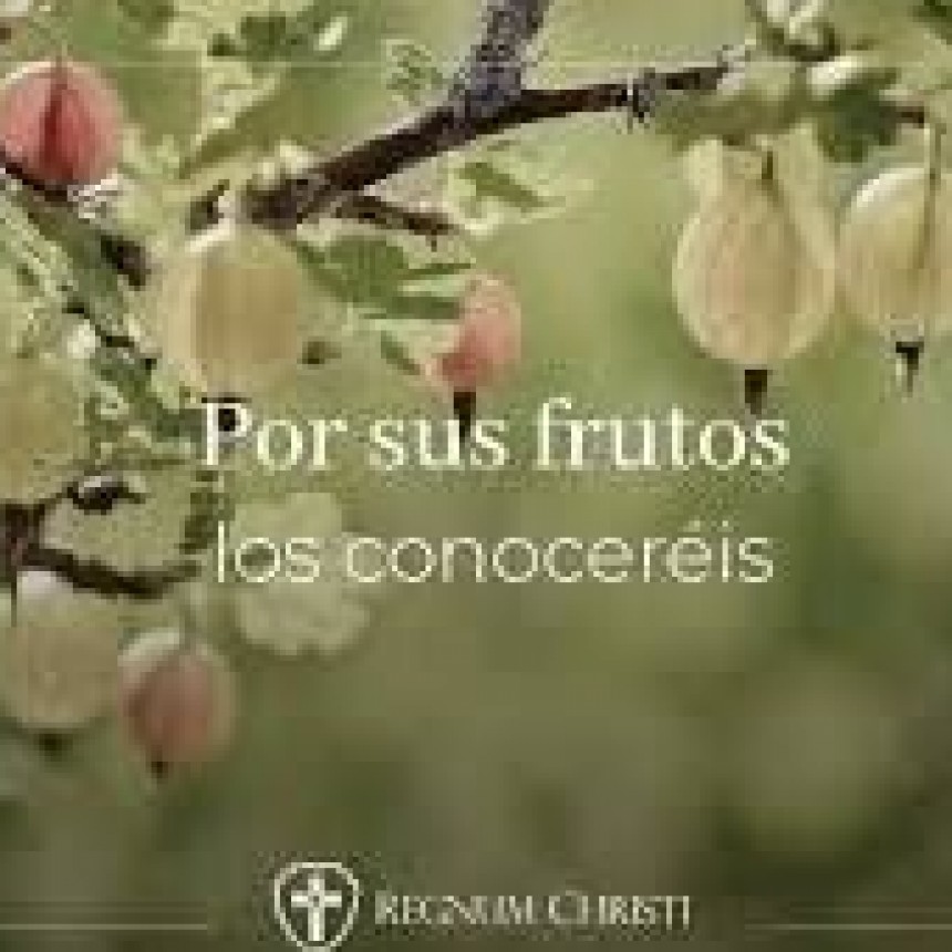 RADIOKTUBRE INFO…EL EVANGELIO DE HOY 25/6/2025
