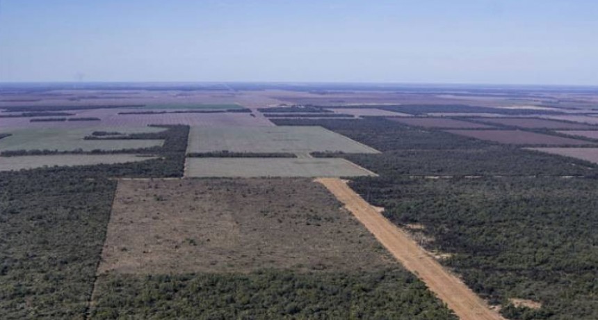 RADIOKTUBRE INFO…-El Chaco perdió 10.000 hectáreas de bosques en los últimos ocho meses -Por Simón Suarez..VER MAS	