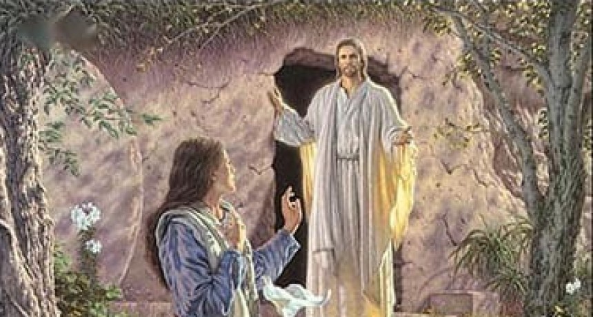  RADIOKTUBRE INFO….  EL EVANGELIO DE HOY SÁBADO 22 DE JULIO DEL 2023 …Por Simón Suarez..Ver mas..
