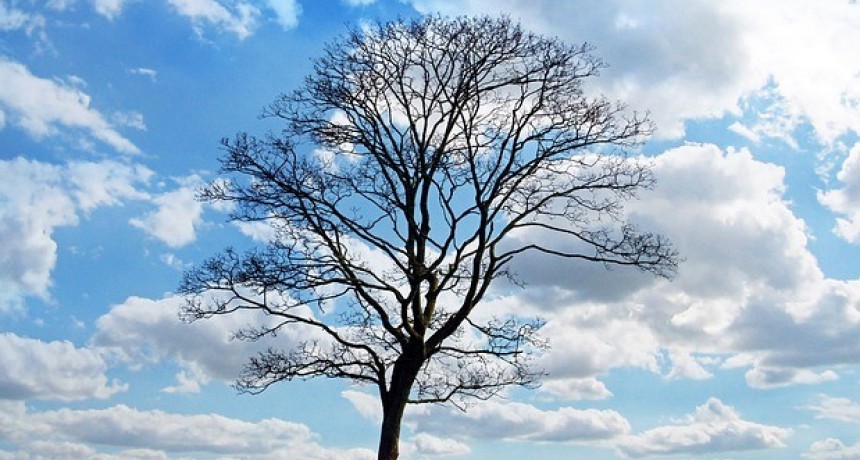 RADIOKTUBRE INFO….  EL CLIMA HOY EN SANTA SYLVINA CHACO  ….Por Simòn Suàrez