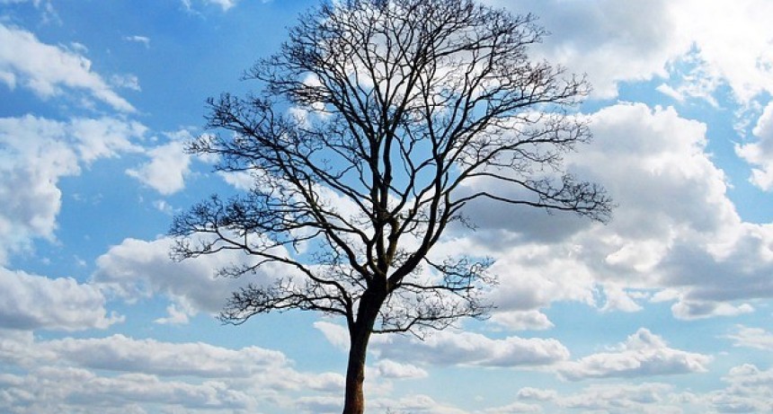 INFO DIARIOKTUBRE ….  EL CLIMA HOY EN SANTA SYLVINA CHACO  ….Por Simòn Suàrez