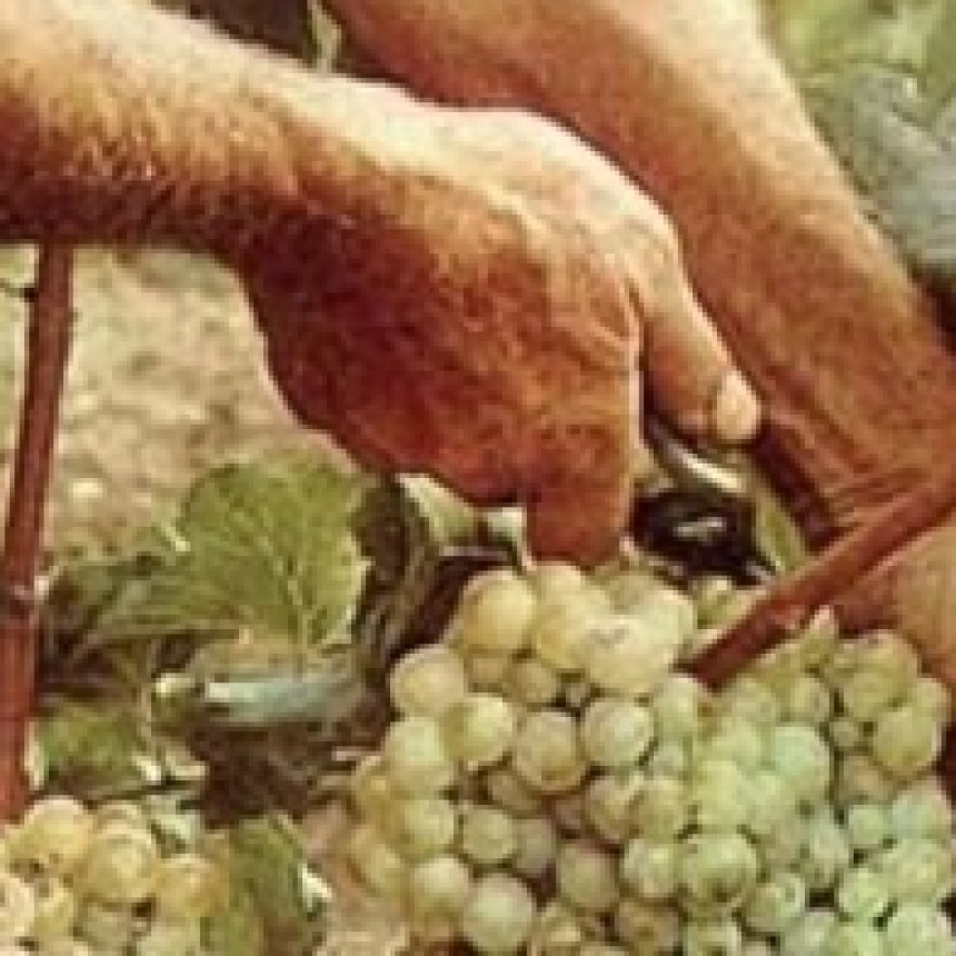 INFO DIARIOKTUBRE …. EL EVANGELIO DE HOY MARTES23/7/2024   ….Por Simòn Suàrez