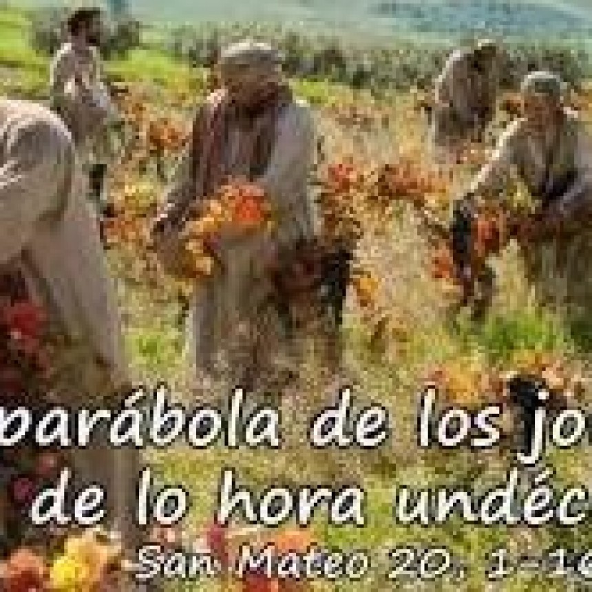 INFO DIARIOKTUBRE …. EL EVANGELIO DE NHOY MIÉRCOLES 21/8/2024   ….Por Simòn Suàrez