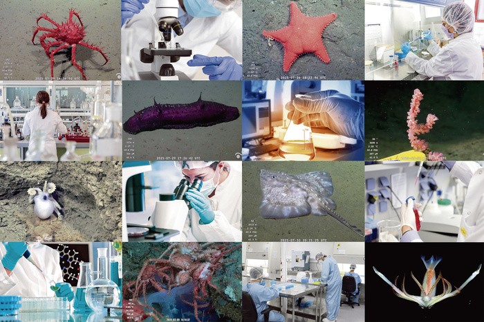 RADIOKTUBRE INFO...LA CIENCIA EN EL FONDO DEL MAR EN LA ERA MILEI ...Por Simon Suarez