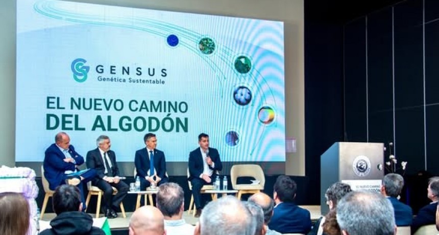 RADIOKTUBRE INFO……..  CHACO BIOTECNOLÓGICO DE ALGODON  …… Por Simòn Suarez