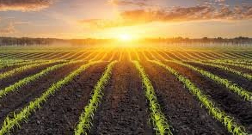 RADIOKTUBRE INFO..- EL CLIMA HOY EN SANTA SYLVINA CHACO  -Por Simón Suarez..Ver mas..	