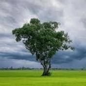 RADIOKTUBRE INFO…….. EL CLIMA HOY EN SANTA SYLVINA CHACO   …… Por Simòn Suarez