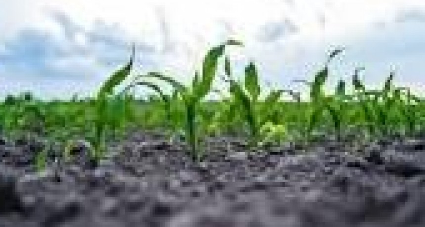 RADIOKTUBRE INFO……..  EL CLIMA HOY EN SANTA SYLVINA CHACO  …… Por Simòn Suarez