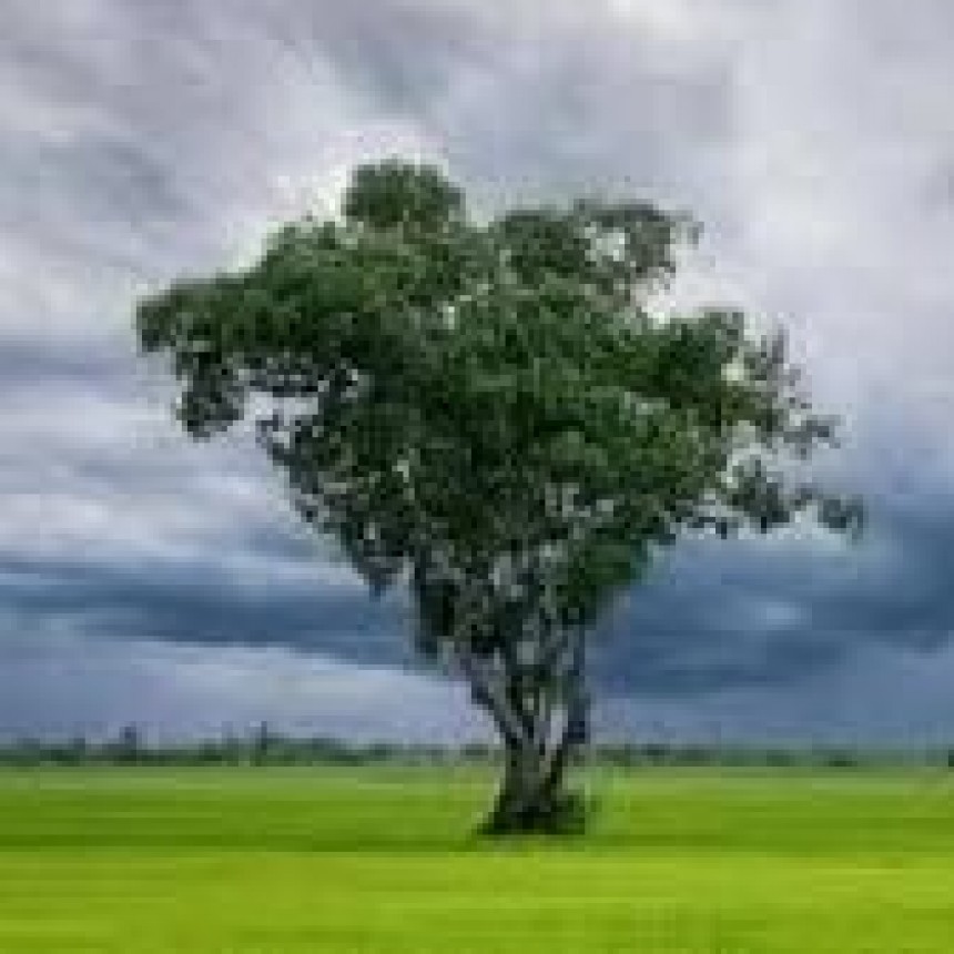 RADIOKTUBRE INFO…….. EL CLIMA HOY EN SANTA SYLVINA CHACO   …… Por Simòn Suarez