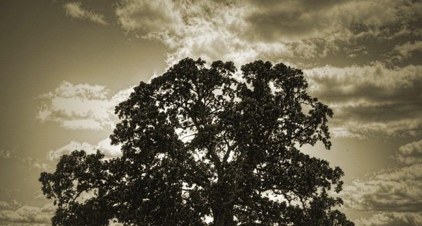 RADIOKTUBRE INFO…….. EL CLIMA HOY EN SANTA SYLVINA CHACO   …… Por Simòn Suarez