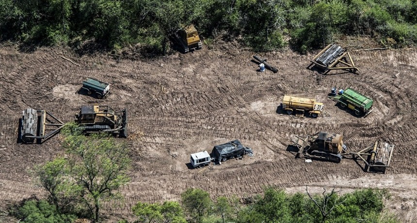 RADIOKTUBRE INFO..-  En 20 años, Argentina perdió 438 mil hectáreas de bosque primario húmedo -Por Simón Suarez..Ver mas..	