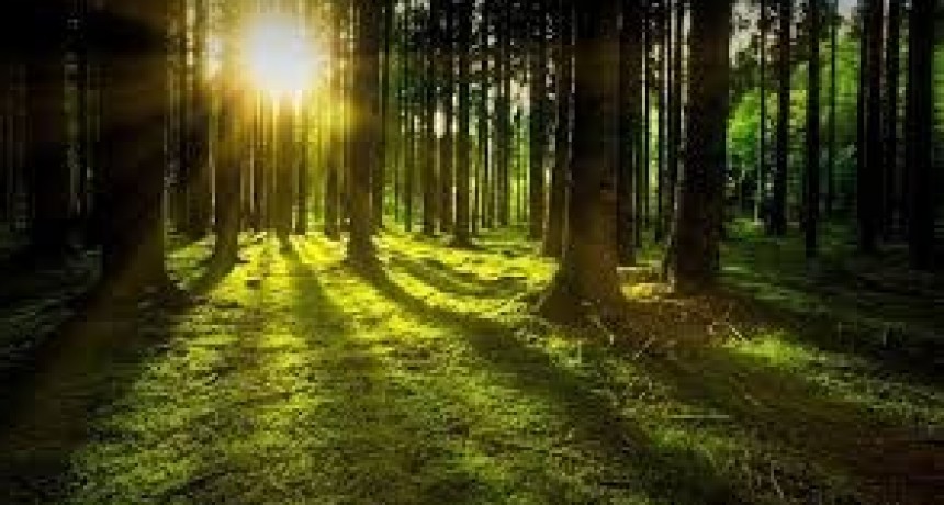 RADIOKTUBRE INFO..- EL CLIMA HOY EN SANTA SYLVINA CHACO  -Por Simón Suarez..Ver mas..	