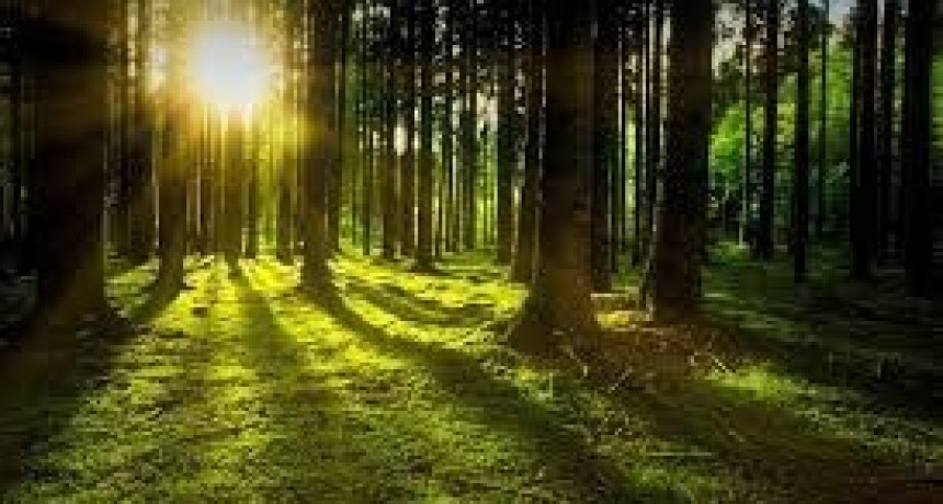 RADIOKTUBRE INFO..- EL CLIMA HOY EN SANTA SYLVINA CHACO  -Por Simón Suarez..Ver mas..	