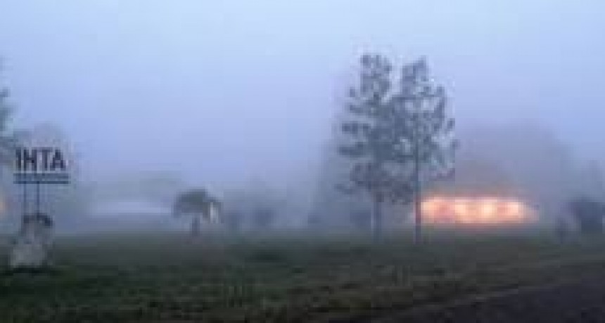 RADIOKTUBRE INFO…EL CLIMA HOY MARTES 19/11//2024…..Por Simon Suarez