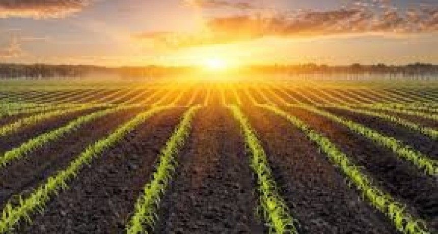 RADIOKTUBRE INFO..- EL CLIMA HOY EN SANTA SYLVINA CHACO  -Por Simón Suarez..Ver mas..	